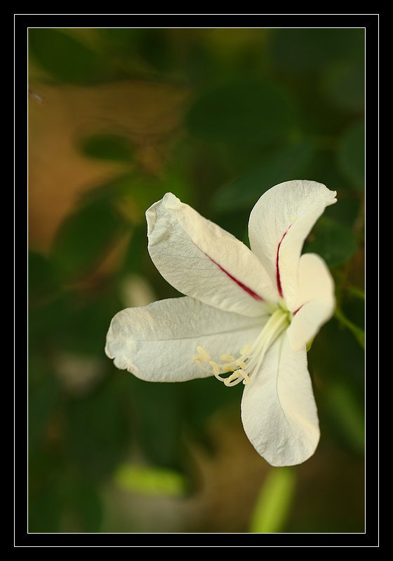 http://zupimages.net/up/1/1377181015.jpg