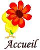 Accueil