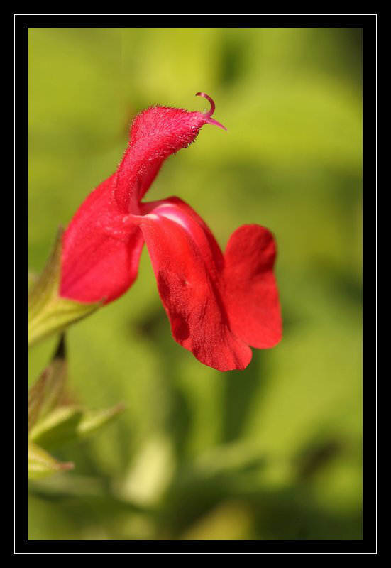 http://zupimages.net/up/1/1734241205.jpg