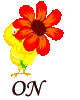 Connexion