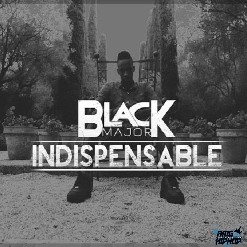 Black Major – Indispensable (2013)