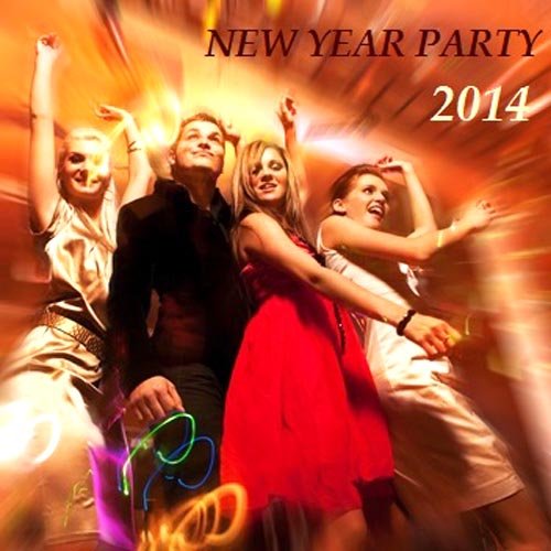 New Year Party 2014 [Multi]