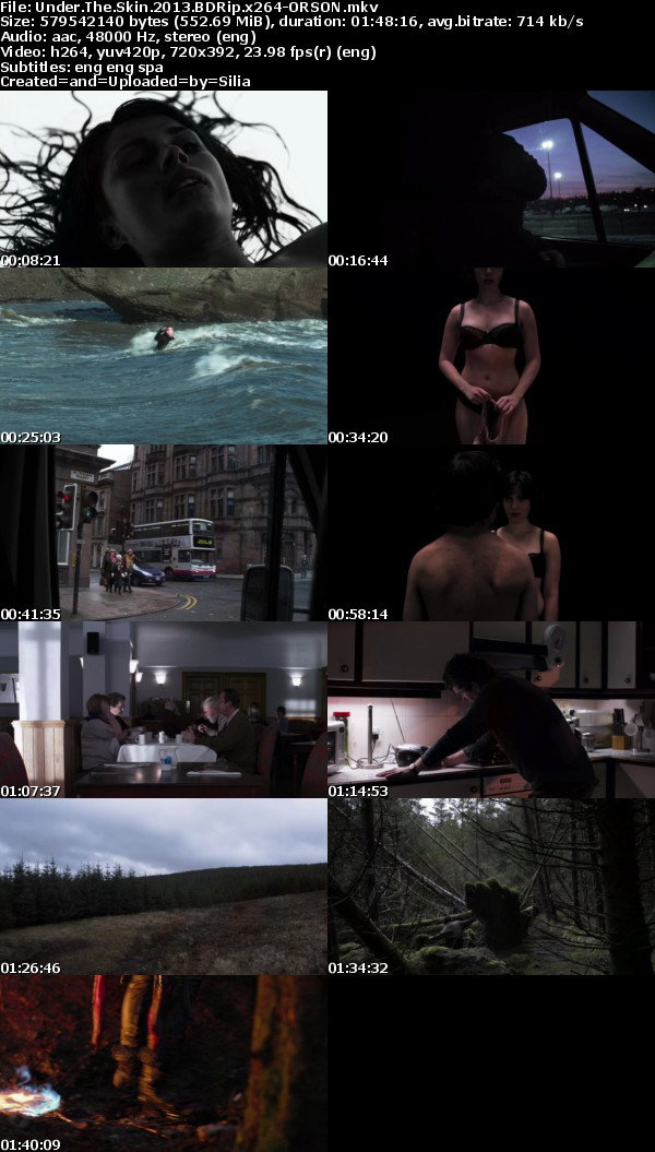 Under The Skin (2013) BDRip x264-ORSON