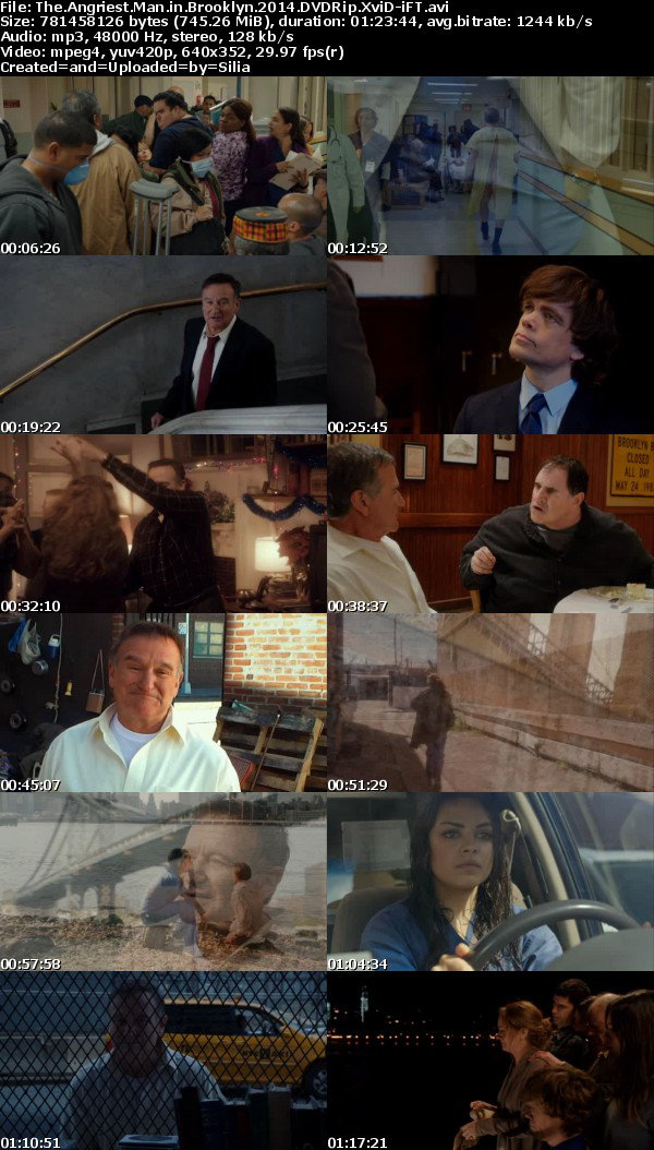 The Angriest Man in Brooklyn (2014) DVDRip XviD-iFT