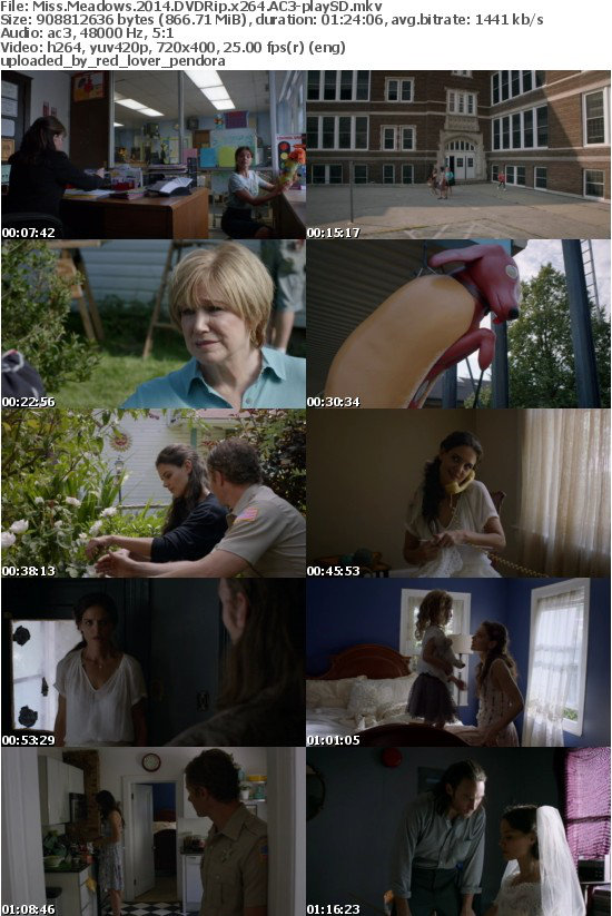 Miss Meadows (2014) DVDRip x264 AC3-playSD