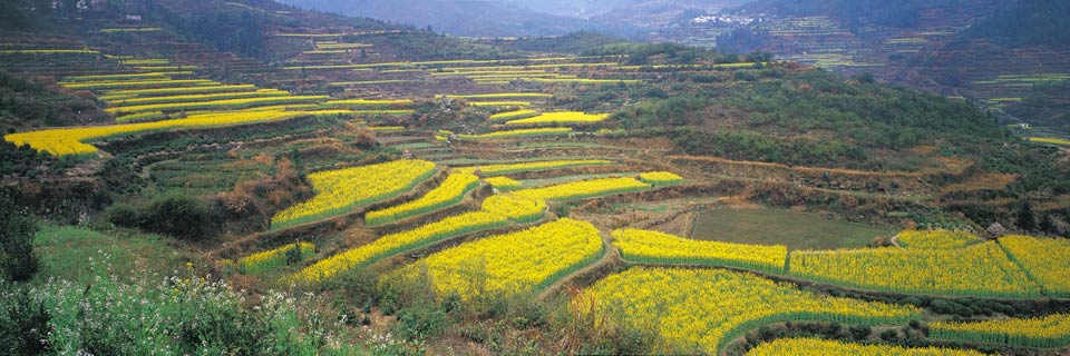 bangladesh paysage - Image