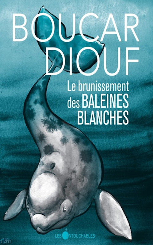 Boucar Diouf  - Le brunissement des baleines blanche
