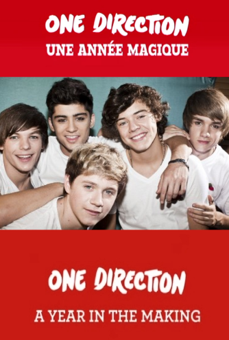 One Direction : Une année magique 