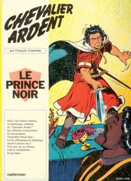 Chevalier Ardent - 20 Tomes & 4 HS
