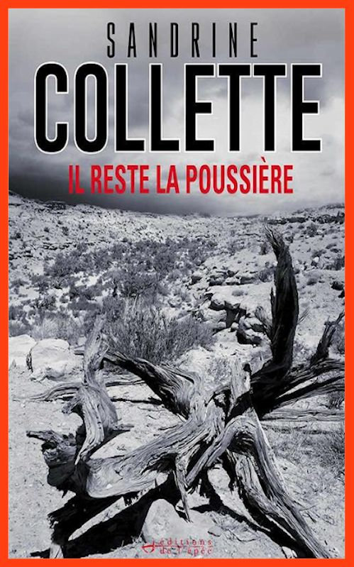 Sandrine Collette (2016) - Il reste la poussière