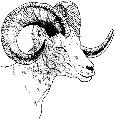kcnf.png