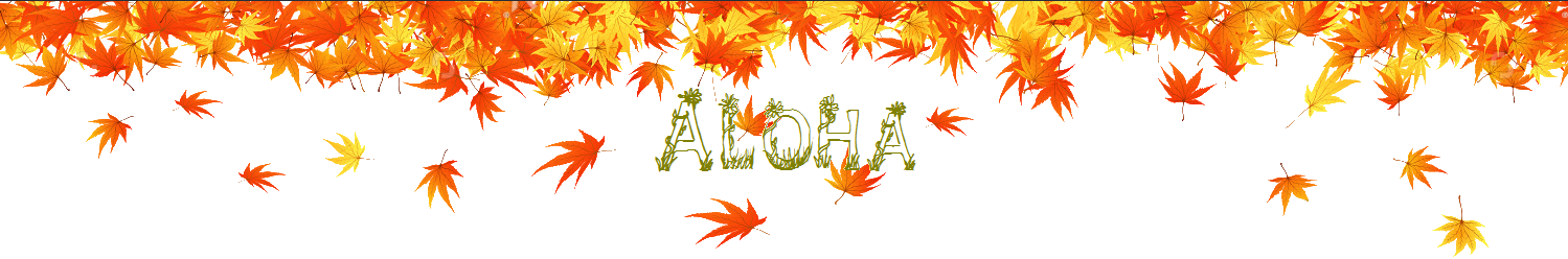 femina rencontre marcel rufo