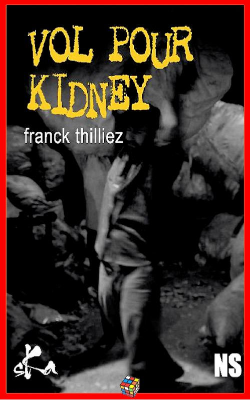 Franck Thilliez - Vol pour Kidney