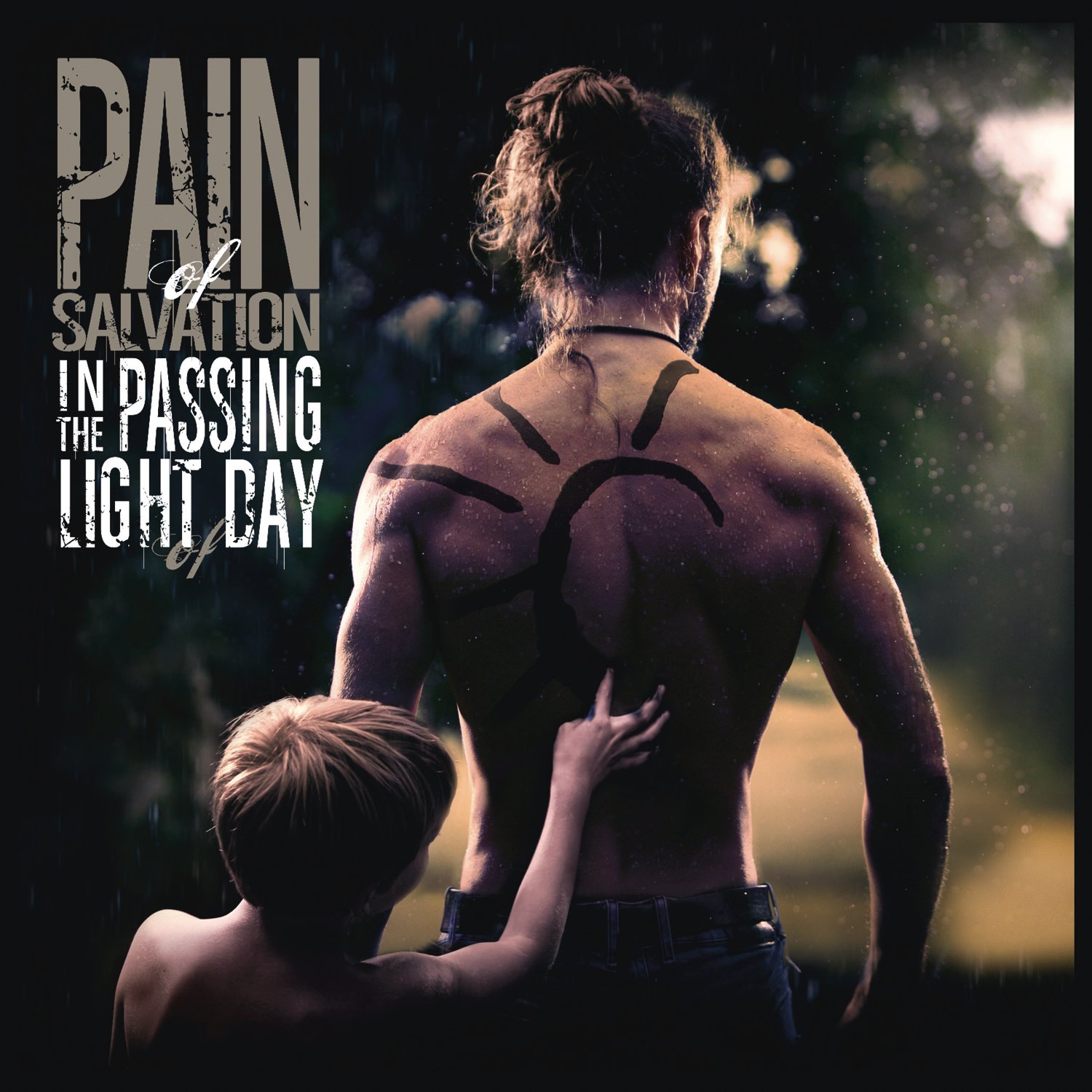 Pain Of Salvation : In The Passing Light Of Day