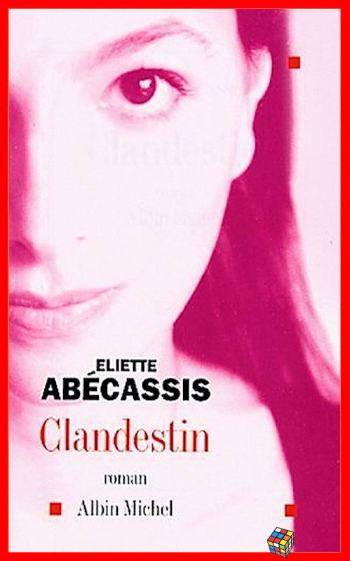Eliette Abécassis - Clandestin