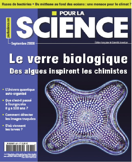 Pour la Science n°371 - Le verre biologique inspire les chimistes 