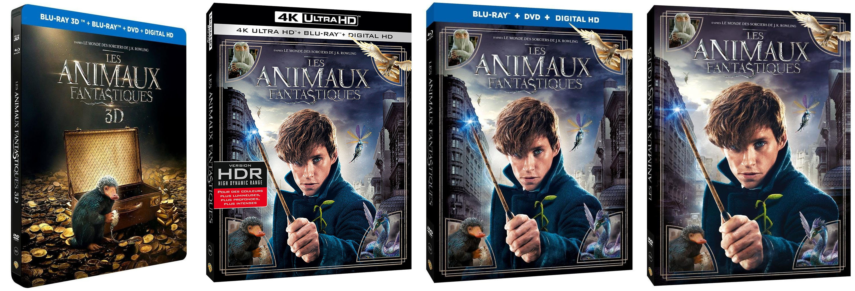 Les Animaux Fantastiques Blu-Ray et DVD