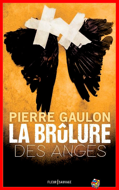 Pierre Gaulon (2017) - La brûlure des anges