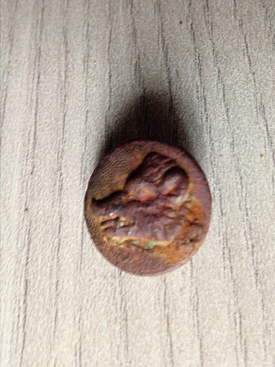 Bouton De Chasse VENERIE – Hure De Sanglier – Étain – Collection France