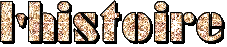 5l5w.gif