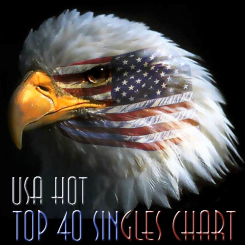 VA - USA Hot Top 40 Singles Chart 3 March (2013)