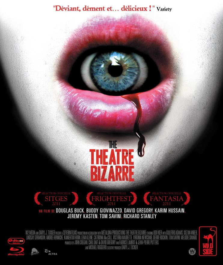The theatre bizarre Dvdrip