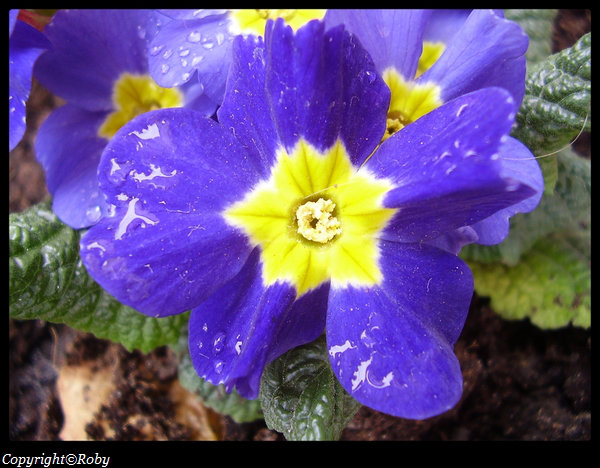 http://zupimages.net/up/2/1716355656.jpg