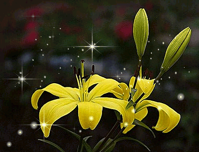 http://zupimages.net/up/2/189736215.gif