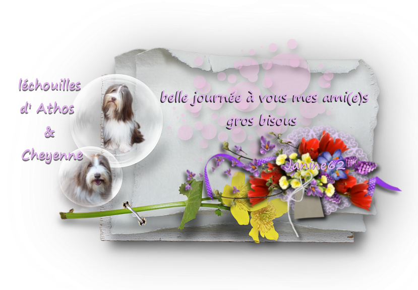 Belle journée