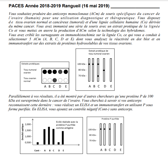 Epitope Conformationnel How To Know That UE8 11 Recherche