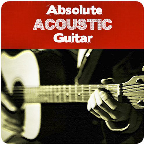 Absolute Acoustic Guitar (2013) [Multi]