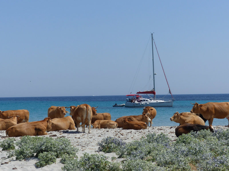 nue intégrale a la plage  7uys