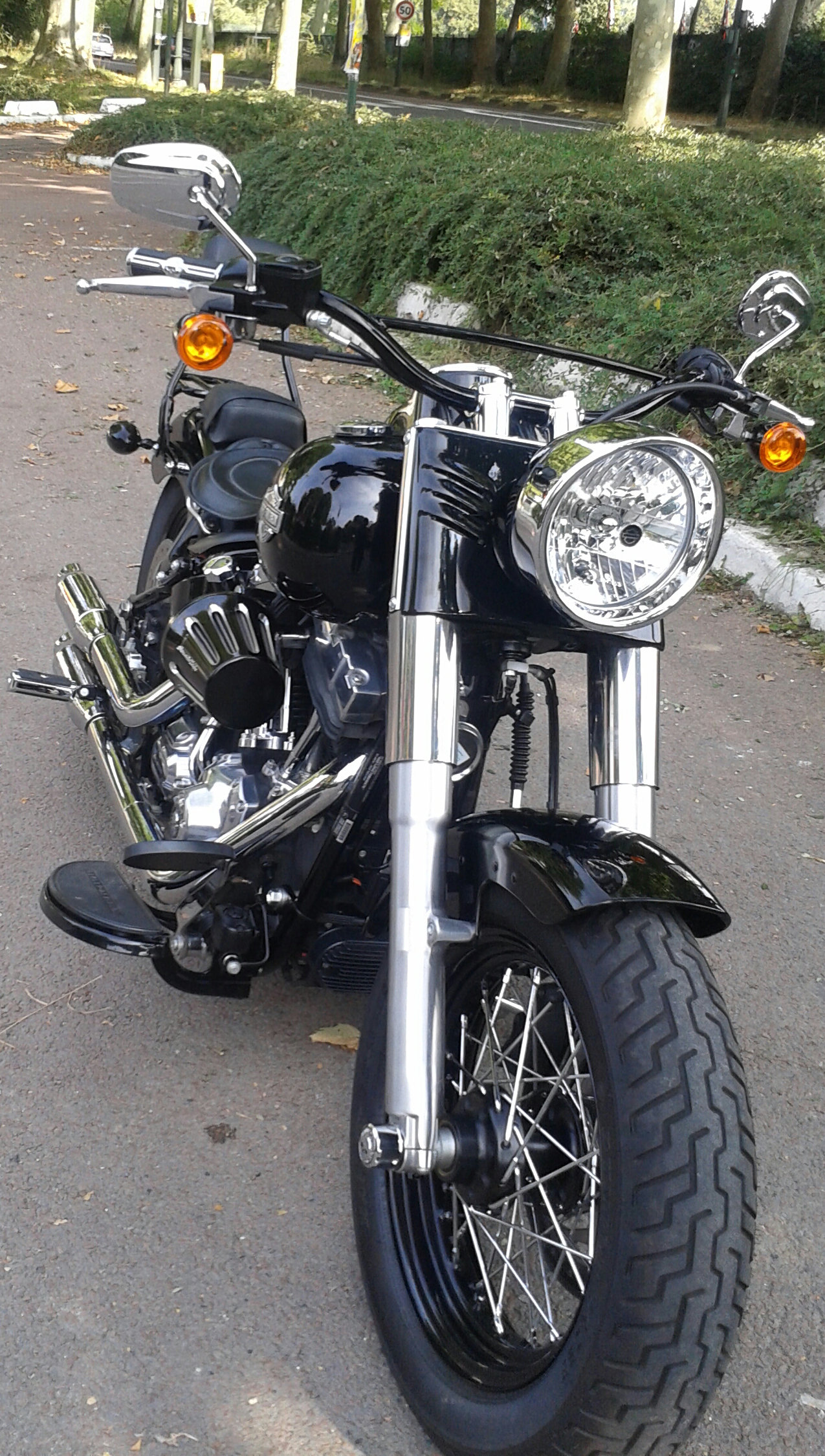 SOFTAIL SLIM... les accros de la Slim attitude !! - Page 30 Tpqf