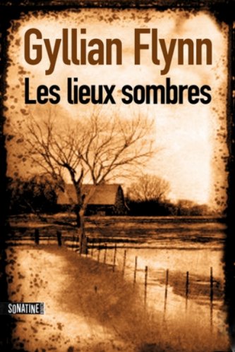 Gyllian Flynn - Les lieux sombres