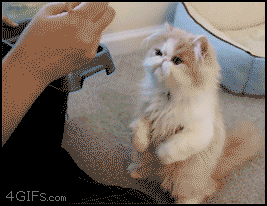 https://zupimages.net/up/14/52/37vj.gif