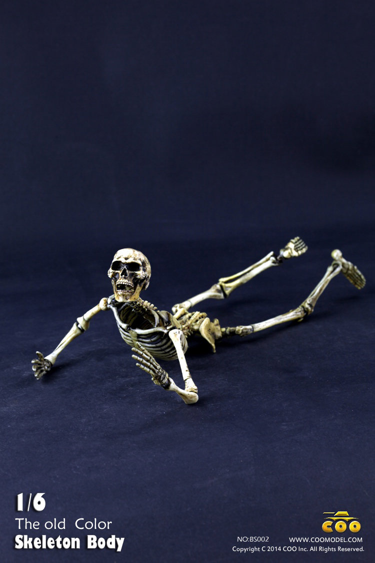 COO MODEL - 1:6 HUMAN SKELETON BODY C0cu