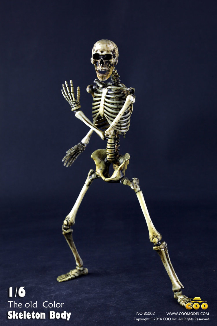 COO MODEL - 1:6 HUMAN SKELETON BODY C6k4