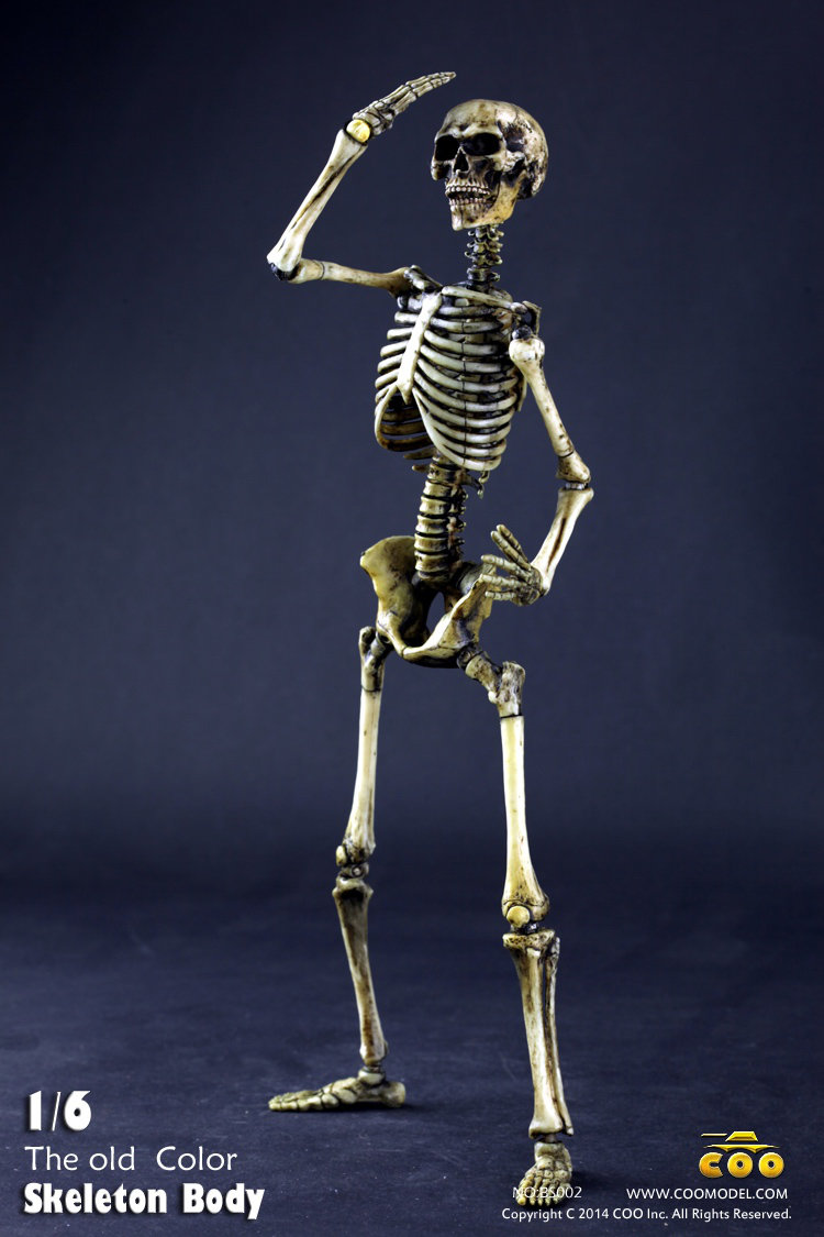 COO MODEL - 1:6 HUMAN SKELETON BODY T9ji