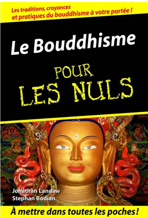 Stephan Bodian & Jonathan Landraw - Le Bouddhisme pour les Nuls