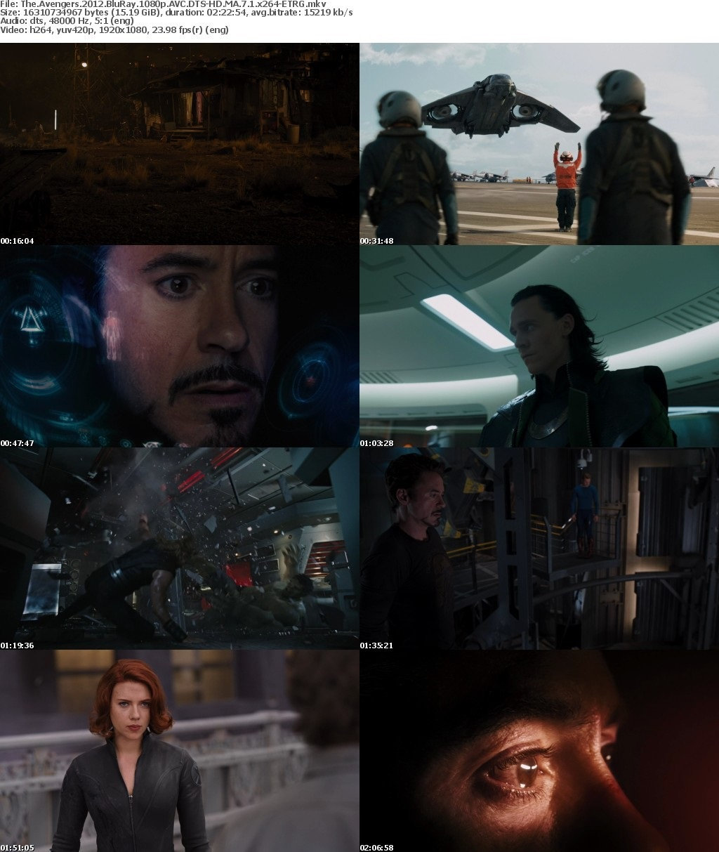 The Avengers 2012 BluRay 1080p AVC DTS-HD MA 7 1 x264-ETRG B5sc