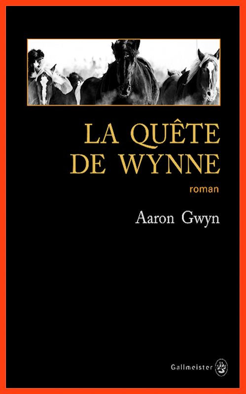 Aaron Gwyn  - La quête de Wynne