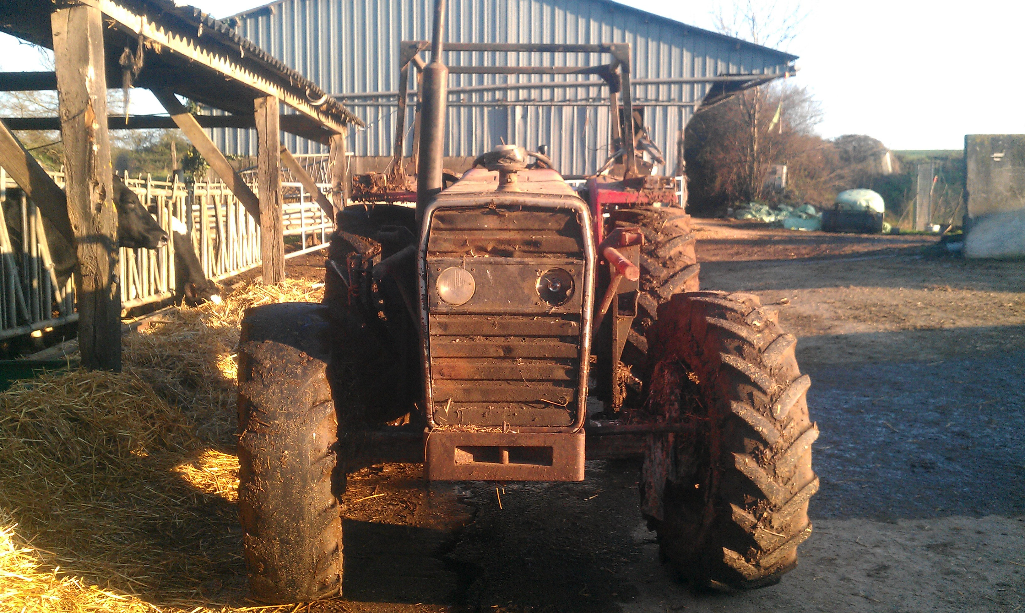 Mon Massey Ferguson 274 Wg23