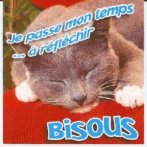 bonjour bonsoir du mois d'aout Bslo