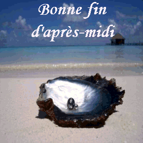 bonjour bonsoir du mois d'aout 4te1