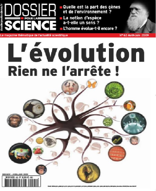 Dossier Pour la Science n°63 - l'évolution, Rien ne l'arrête! 