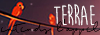 Logo Terrae