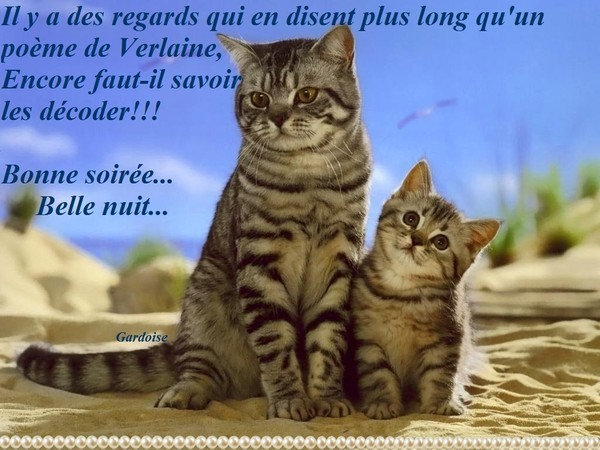 Bonjour Bonsoir Bonne Nuit Page 21