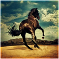 Avatar |HORSE| [10] [120x120] Kf1b