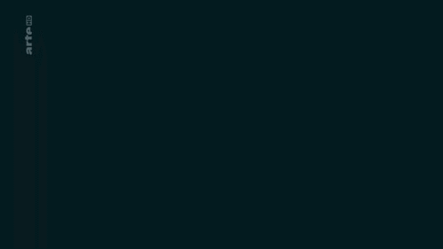 s5fo.gif