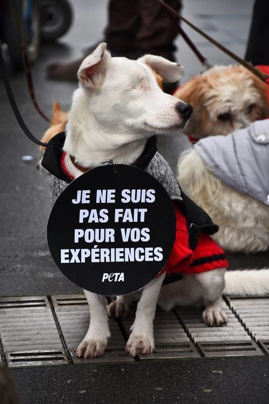 https://zupimages.net/up/18/01/jeo9.jpg
